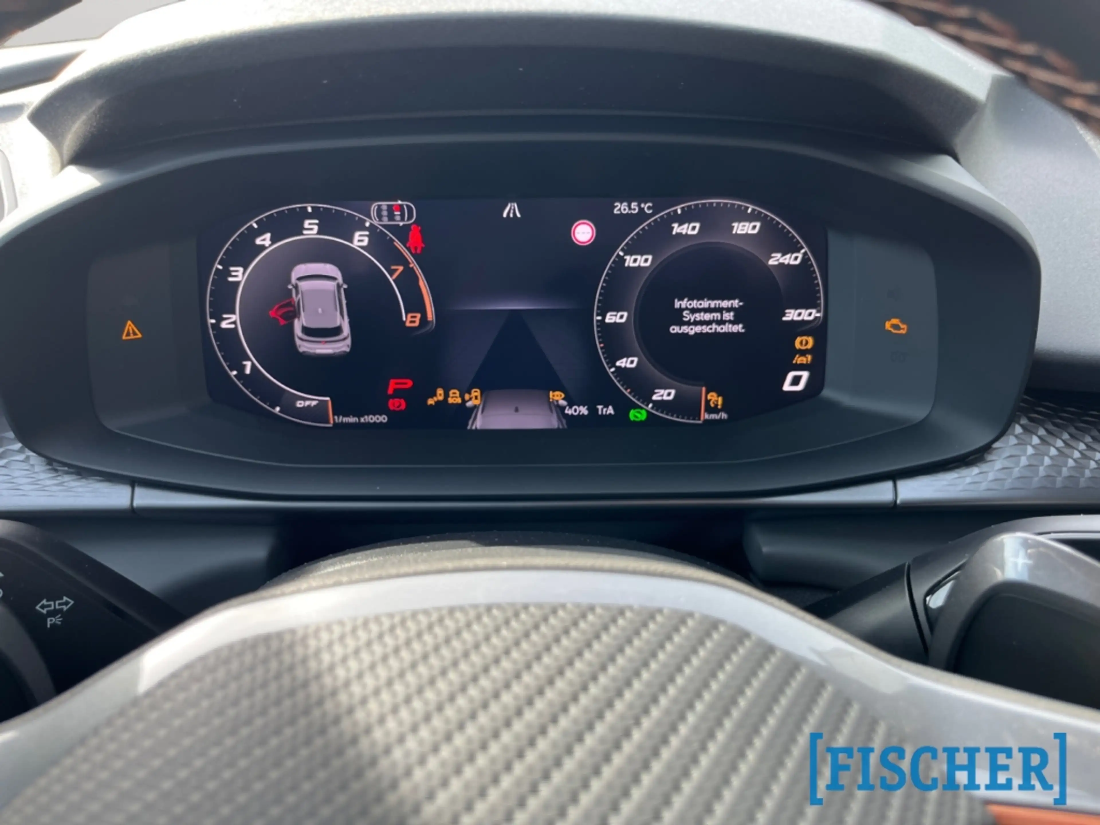 CUPRA Terramar 2.0 TSI 195 kW 4Drive VZ HUD AD AHK-klappbar El. P — photo 10