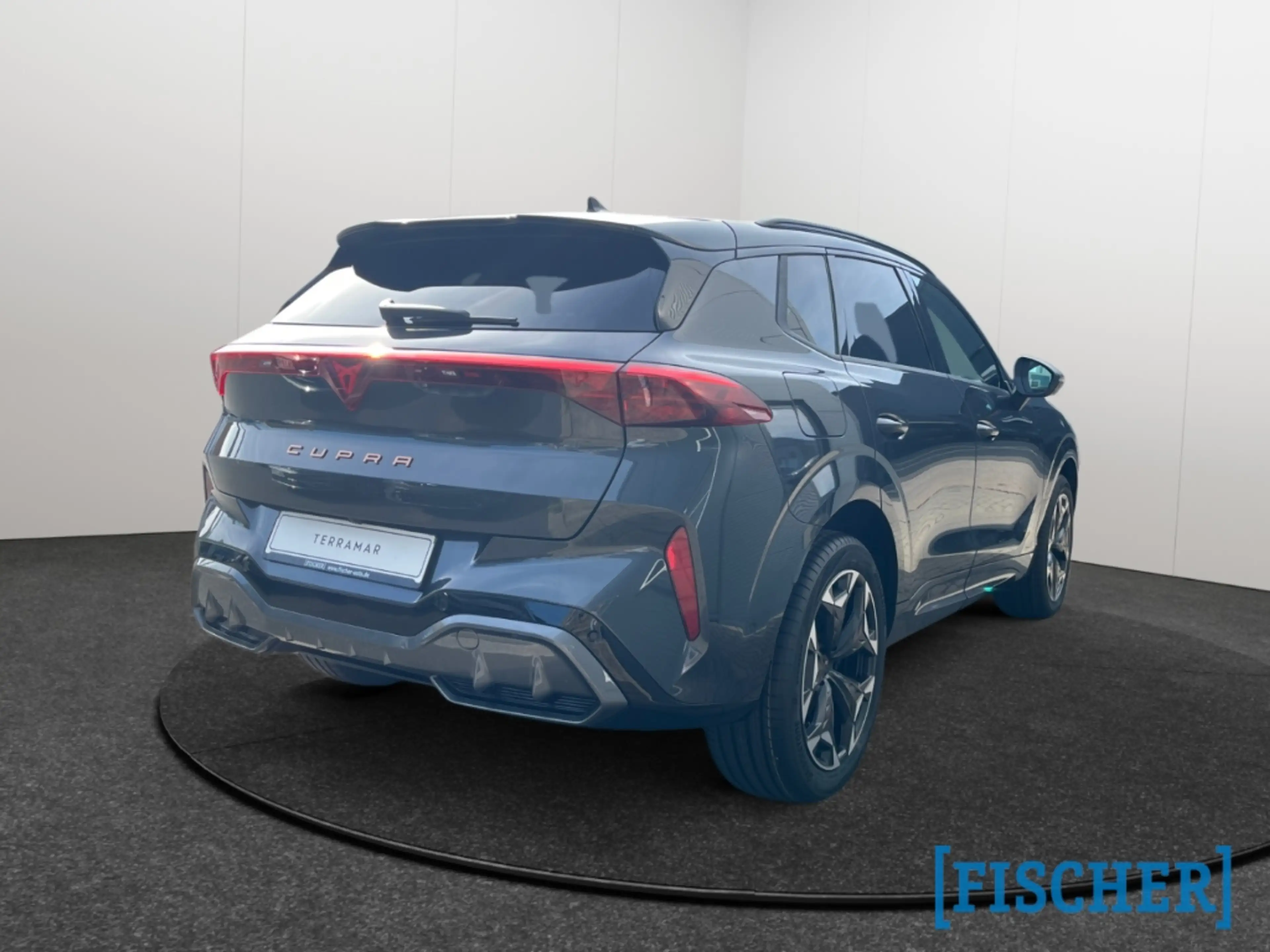 CUPRA Terramar 2.0 TSI 195 kW 4Drive VZ HUD AD AHK-klappbar El. P — photo 5