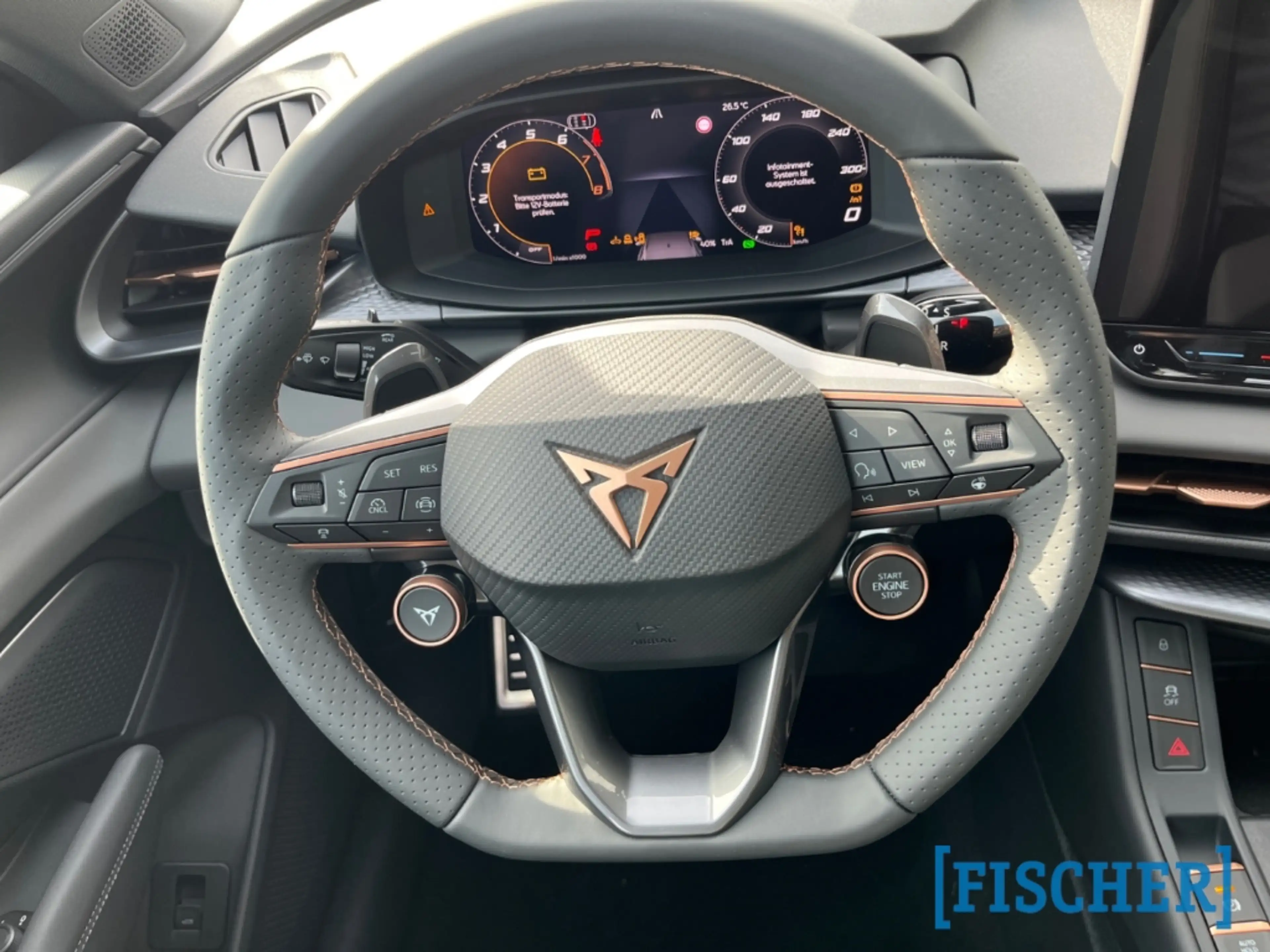 CUPRA Terramar 2.0 TSI 195 kW 4Drive VZ HUD AD AHK-klappbar El. P — photo 9