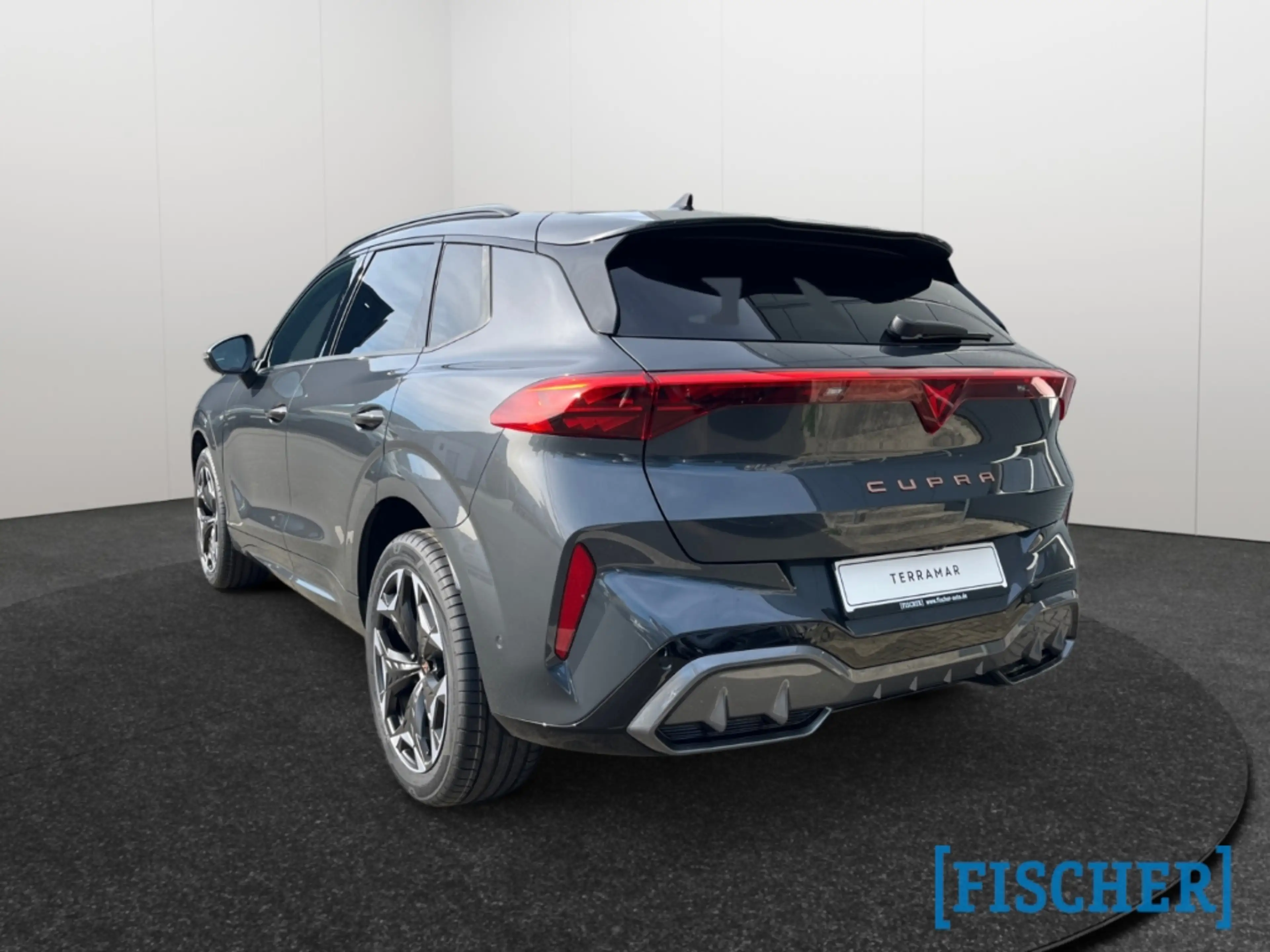 CUPRA Terramar 2.0 TSI 195 kW 4Drive VZ HUD AD AHK-klappbar El. P — photo 4