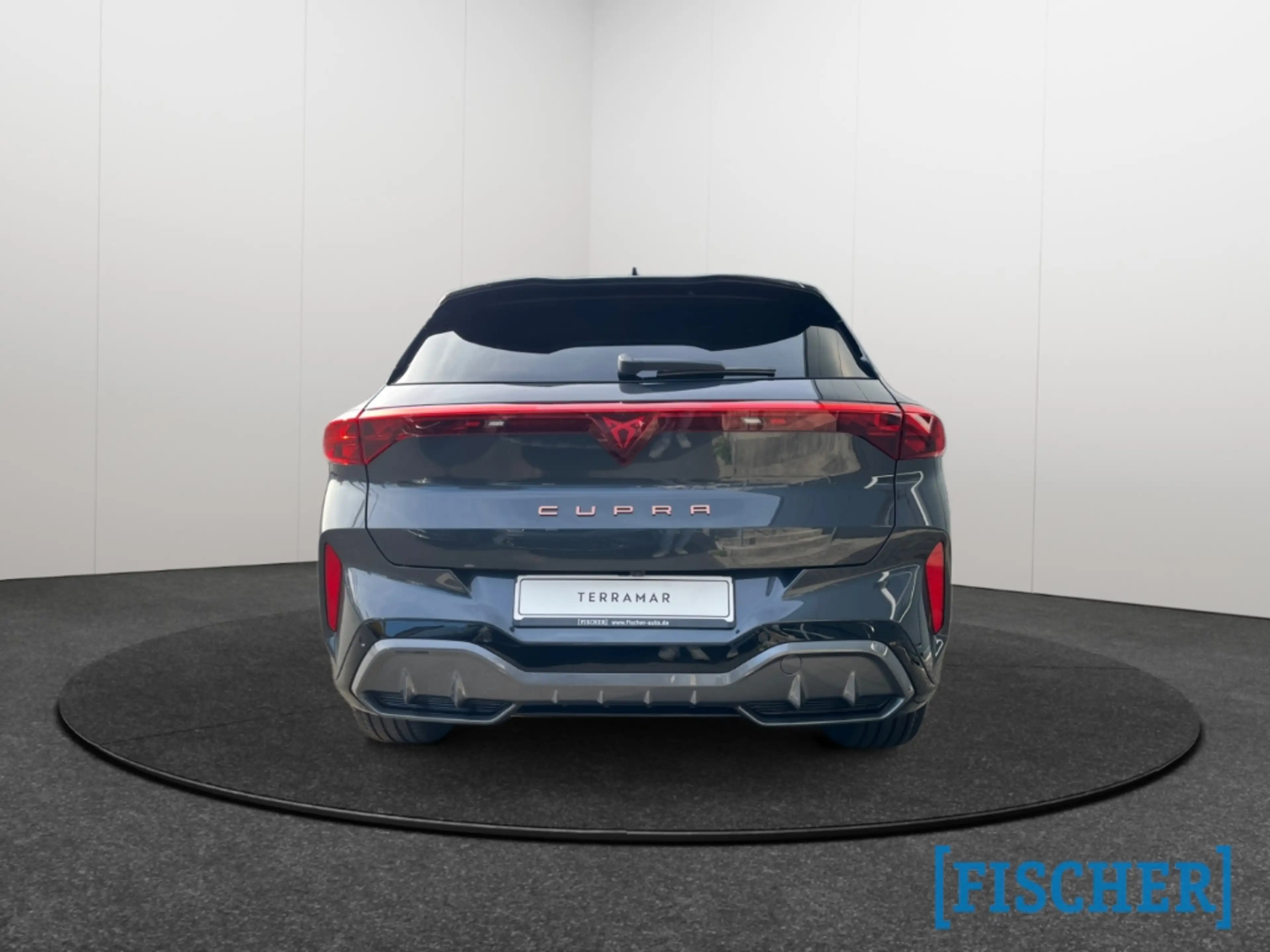 CUPRA Terramar 2.0 TSI 195 kW 4Drive VZ HUD AD AHK-klappbar El. P — photo 6