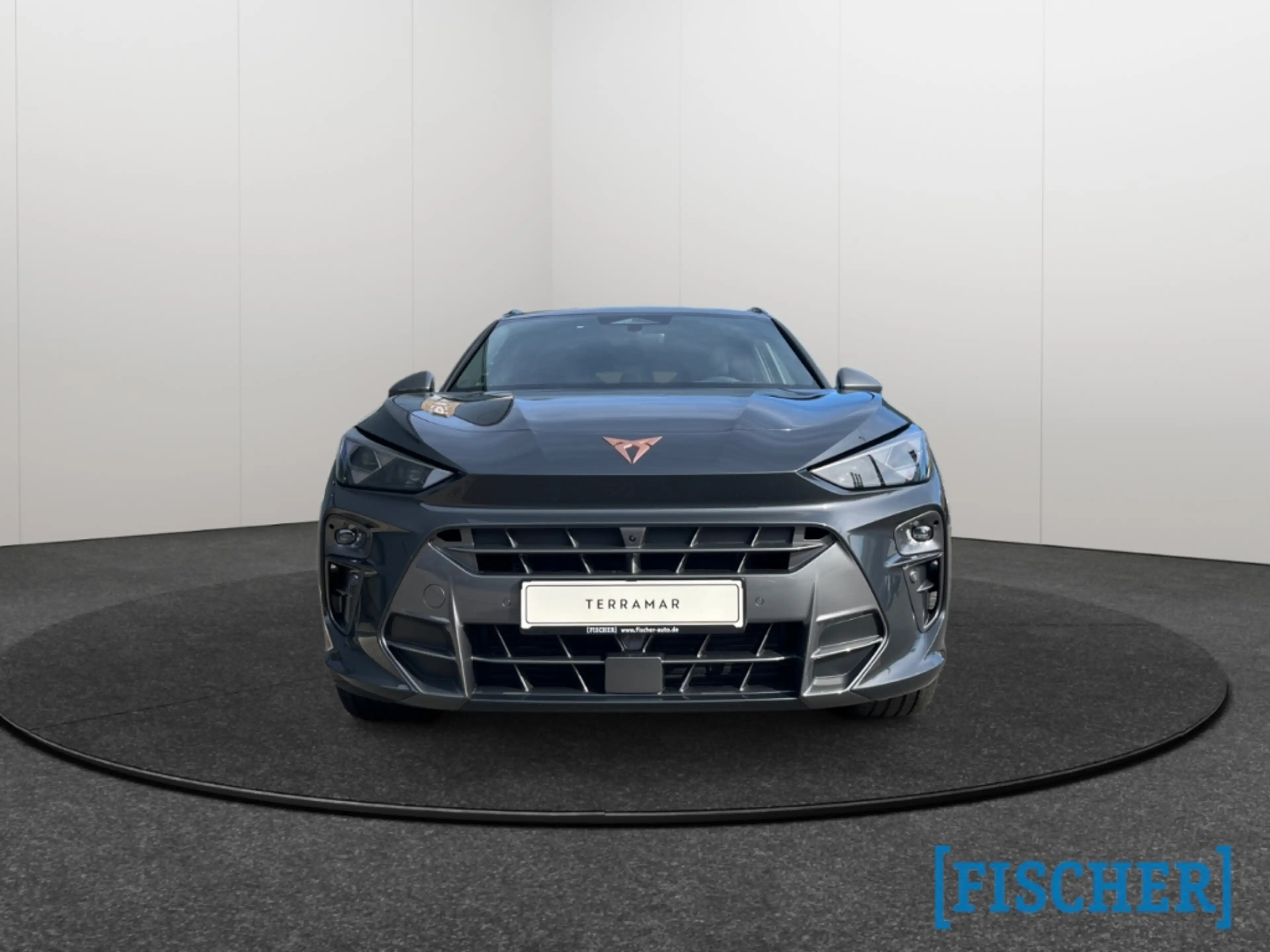 CUPRA Terramar 2.0 TSI 195 kW 4Drive VZ HUD AD AHK-klappbar El. P — photo 2