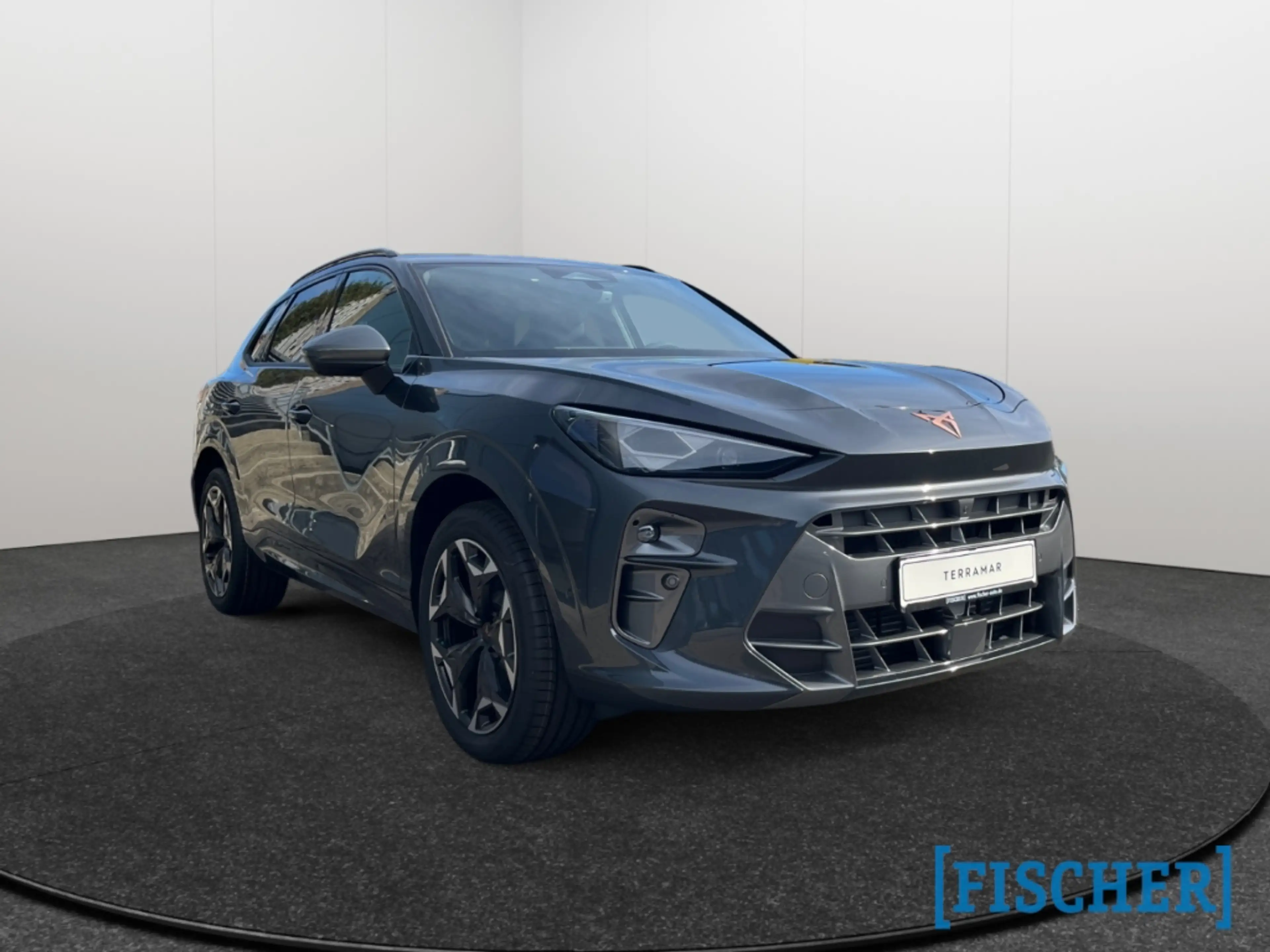 CUPRA Terramar 2.0 TSI 195 kW 4Drive VZ HUD AD AHK-klappbar El. P — photo 3