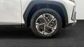 Hyundai TUCSON NX4 Jubile 1,6 T-GDi 2WD 48V t5bj1 Blanc - thumbnail 11