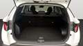 Hyundai TUCSON NX4 Jubile 1,6 T-GDi 2WD 48V t5bj1 Blanc - thumbnail 9