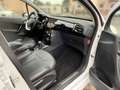 Citroen C3 1.2 e-VTi Exclusive*Automatik*Leder*Kamera* Weiß - thumbnail 21