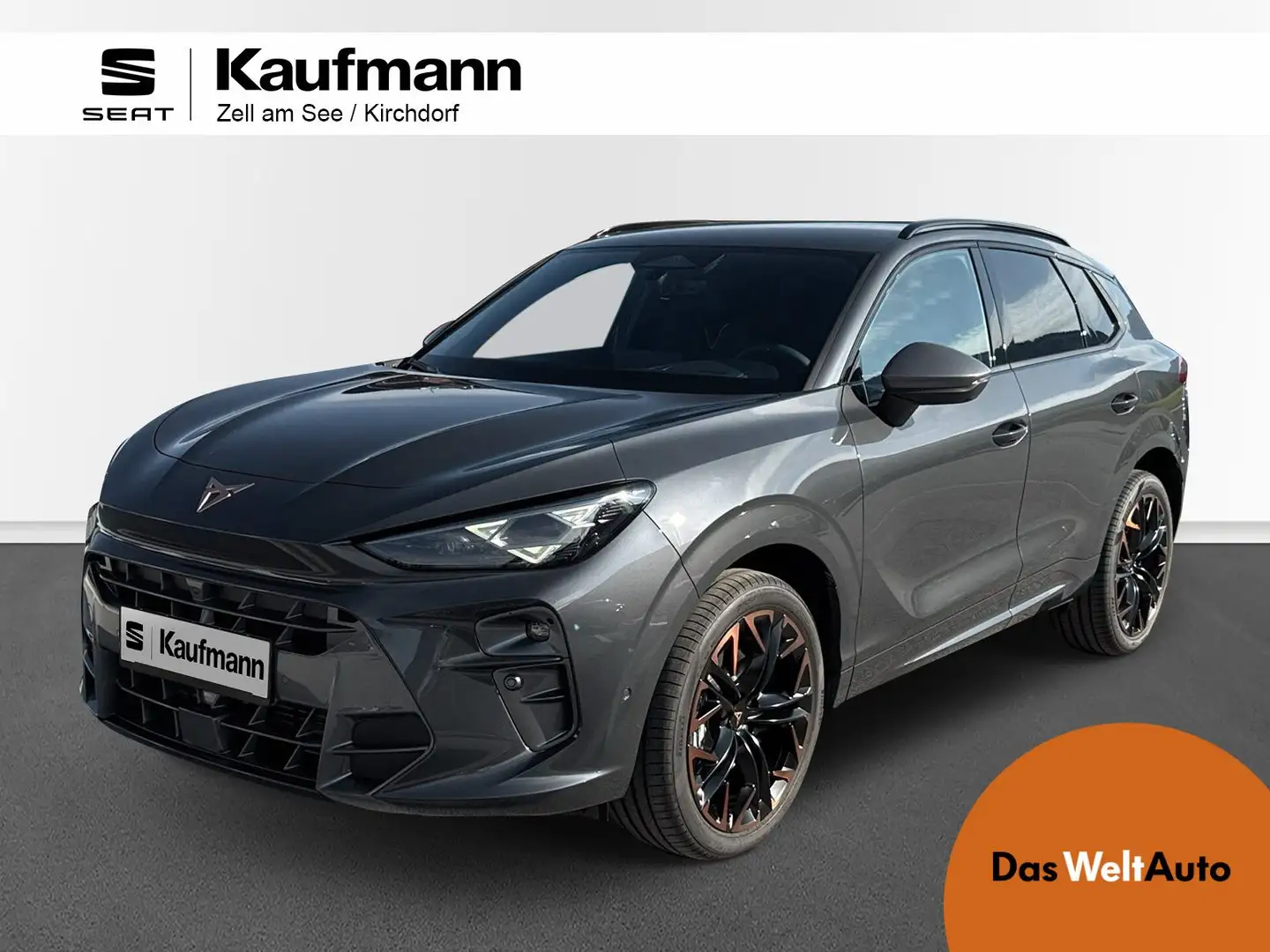 CUPRA Terramar 2.0 TSI 204 PS DSG 4Drive Grijs - 1