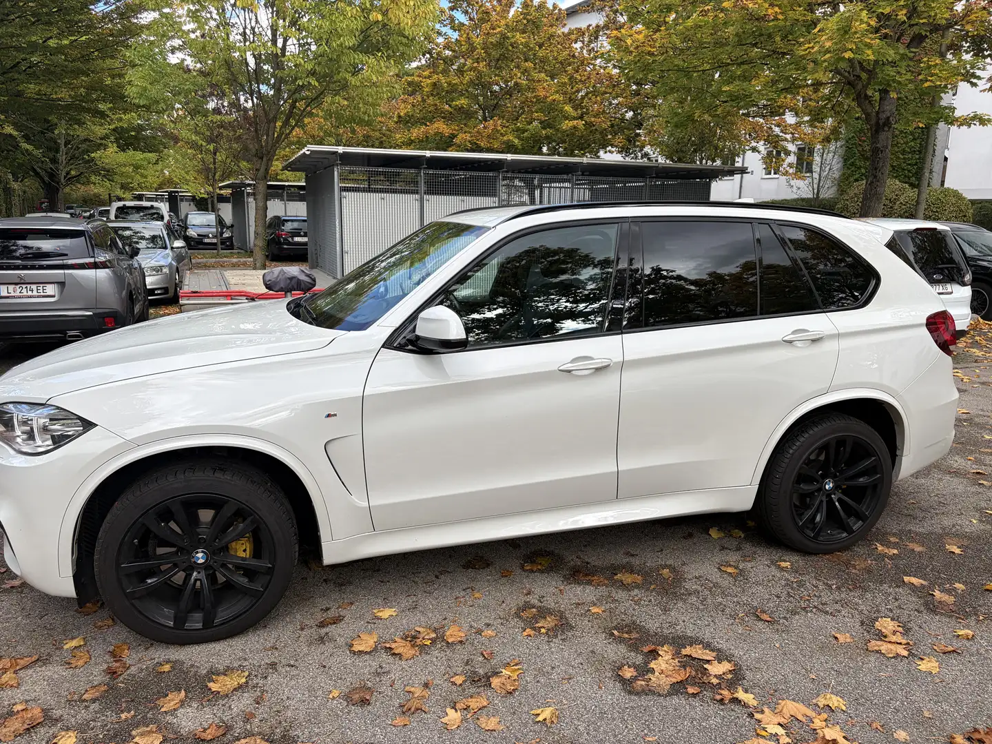 BMW X5 xDrive30d Sport-Aut. - 2