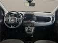 Fiat Panda Cross 1.0 FireFly S&S Hybrid Grau - thumbnail 14