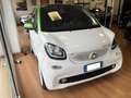 smart forTwo Fortwo III 2015 electric drive Passion Weiß - thumbnail 3
