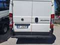 Fiat DUCATO 2.5 DIESEL 6 POSTI Bianco - thumbnail 4