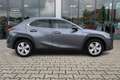 Lexus UX 250h Business Line Pro | ACC | Camera | 17 Inch | Grijs - thumbnail 5