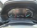 Ford Fiesta 1.1 75 CV GPL 5 porte Connect Bianco - thumbnail 14
