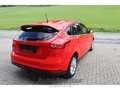 Ford Focus Titanium 1.5 TDCi AHK-abnehmbar Navi Leder Bi-Xeno Rot - thumbnail 19
