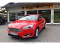 Ford Focus Titanium 1.5 TDCi AHK-abnehmbar Navi Leder Bi-Xeno Rot - thumbnail 4