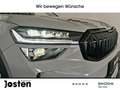 Skoda Kodiaq Sportline 1.5TSI iV DCC+ Fahrass+ Komfort+ Infotai Grijs - thumbnail 24