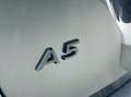Audi A5 A5 Avant TDI 150 kW mHEV+ S tronic quattro S Line Grau - thumbnail 6
