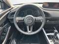 Mazda CX-30 2.5 AT Nagisa Kamera|Bose|LED|PDC|SHZ Grün - thumbnail 11