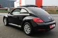 Volkswagen Beetle 1.2 TSi Design Uitvoering. PANORAMADAK Zwart - thumbnail 19