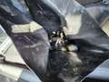 BMW X3 xDrive30d Aut. Schwarz - thumbnail 20