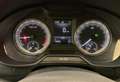 Skoda Octavia 1.6 CR TDi Ambition AUTOMATIK KLIMA NAVI 8900 HTVA Grijs - thumbnail 13