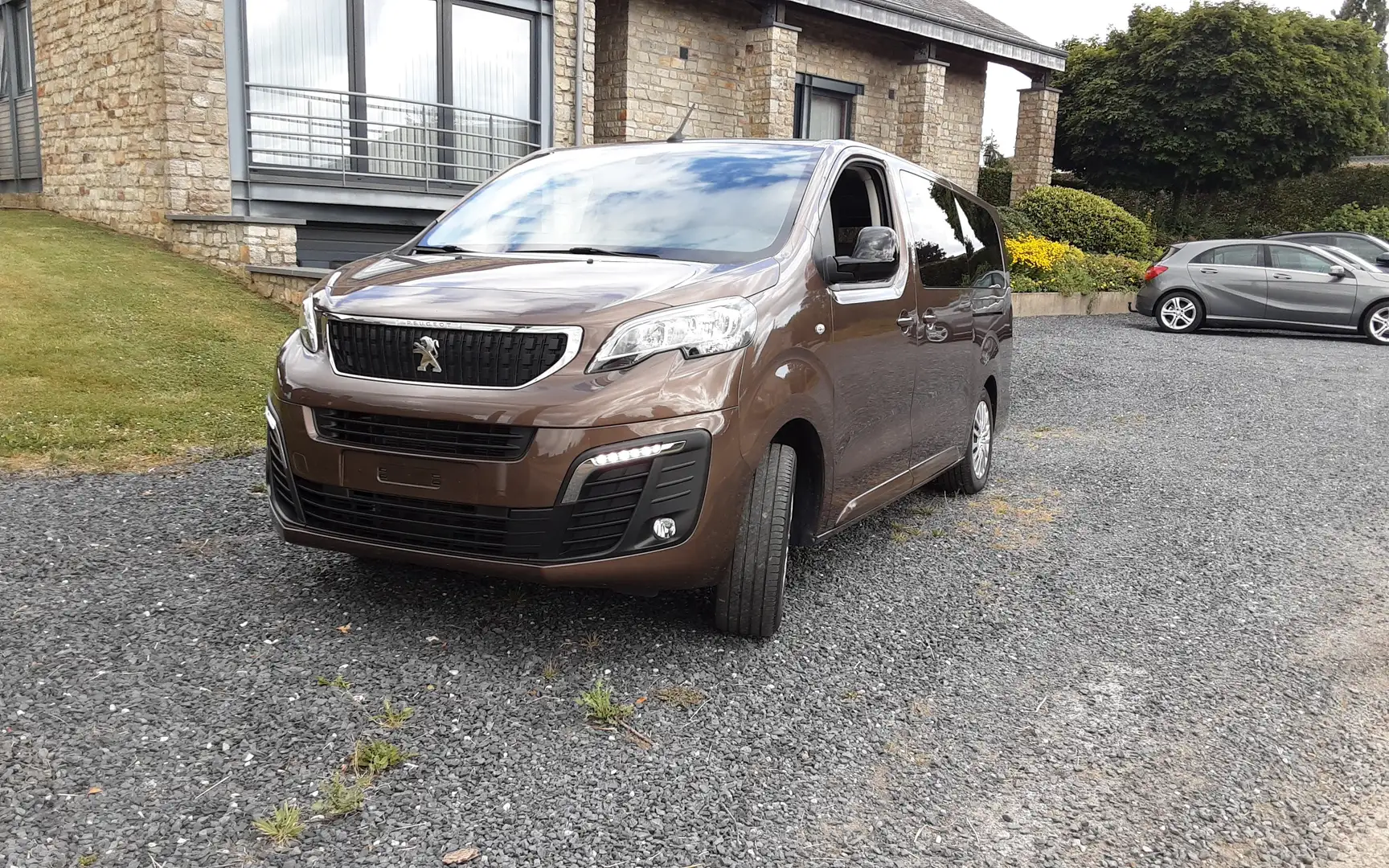 Peugeot Traveller Brun - 1