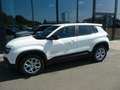 Jeep Avenger Summit, Klima, SHZ, PDC, LED, DAB Weiß - thumbnail 2