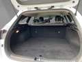Kia Ceed / cee'd Sportswagon Vision 1.0T 100 VIS STD (NAV) Blanc - thumbnail 12