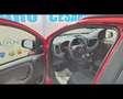 Fiat New Panda Cross 1.0 FireFly Hybrid Rosso - thumbnail 5