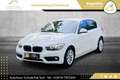 BMW 116 d F20 Österreich-Paket // VIRTUAL-COCKPIT // NA... Weiß - thumbnail 9