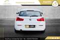 BMW 116 d F20 Österreich-Paket // VIRTUAL-COCKPIT // NA... Weiß - thumbnail 14