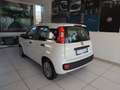 Fiat Panda 1.0 FireFly S&S Hybrid Bianco - thumbnail 4
