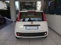 Fiat Panda 1.0 FireFly S&S Hybrid Bianco - thumbnail 5