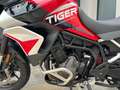 Triumph Tiger 900 GT Aragon Edition Roşu - thumbnail 2