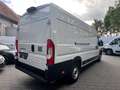 Fiat Ducato Kasten AUTOMATIK L4H2 180 Multijet Maxi Weiß - thumbnail 4