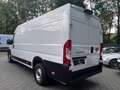 Fiat Ducato Kasten AUTOMATIK L4H2 180 Multijet Maxi Weiß - thumbnail 6