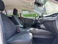Ford Focus Clipper 1.0i Eco Boost Active Aut. Wit - thumbnail 16