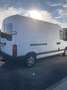 Renault Master 2.5 dCi L1H1 Minibus Weiß - thumbnail 3