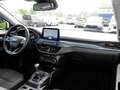 Ford Focus Active 1.0 EB MHEV LED+DAB+Lenkrad heizbar Klima Weiß - thumbnail 5