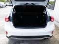 Ford Focus Active 1.0 EB MHEV LED+DAB+Lenkrad heizbar Klima Weiß - thumbnail 9