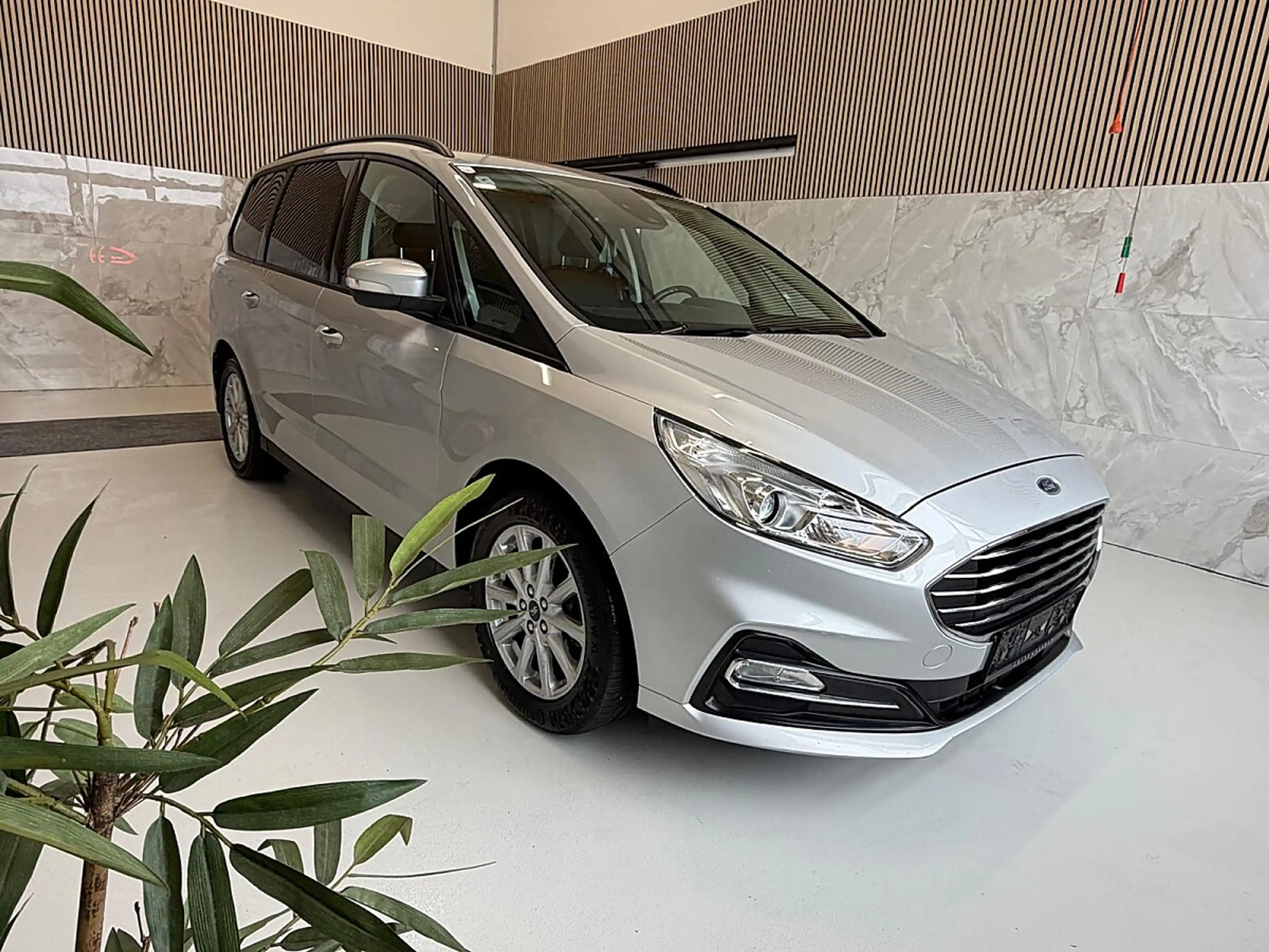 Ford Galaxy 2,0 EcoBlue SCR Titanium Anhängerkupplung, Zusa... — photo 3