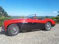 Austin-Healey 100 /4 BN1 Rosso - thumbnail 3