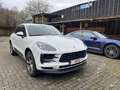 Porsche Macan Macan PDK Wit - thumbnail 5