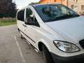 Mercedes-Benz Vito Vito 111 CDI Eco Bus lang Eco Weiß - thumbnail 3