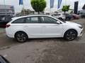 Hyundai i30 Kombi - PD GO 1.5 DPI c5kg1 Weiß - thumbnail 6