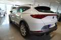 CUPRA Formentor e-Hybrid DSG Sport/Virtual/Navi/LED/AHK Weiß - thumbnail 4