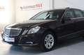 Mercedes-Benz E 250 CGI BlueEfficiency~StandHZ~Schiebedach~PDC Braun - thumbnail 7
