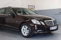 Mercedes-Benz E 250 CGI BlueEfficiency~StandHZ~Schiebedach~PDC Braun - thumbnail 9