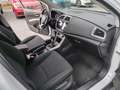 Suzuki SX4 S-Cross 1,4 Hybrid Allgrip shine Weiß - thumbnail 13