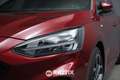 Ford Focus 1.0 Ecoboost 125CV ST-Line Rouge - thumbnail 3
